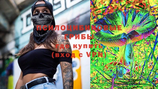 винт Абаза