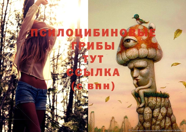 метадон Абинск