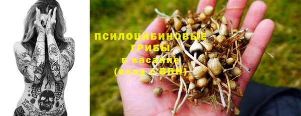 гидропоника Алексин