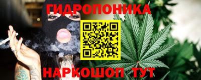 альфа пвп Владикавказ