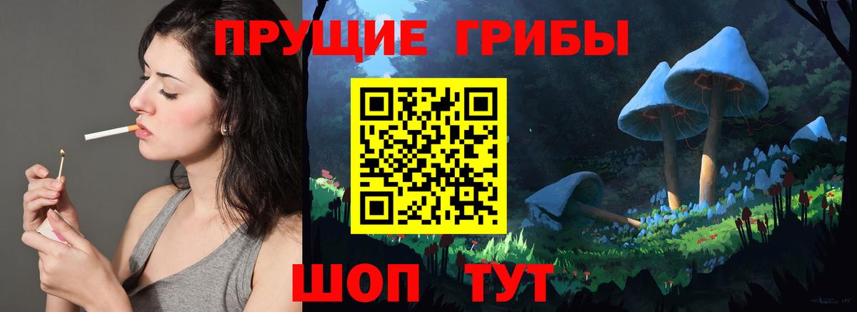 Псилоцибиновые грибы Magic Shrooms  купить  цена  Моршанск  Вход с VPN 